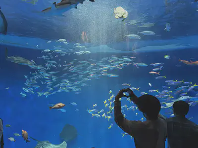 We learned about the diversity of living creatures.