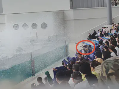 Some brave souls even sat in the front row to get thoroughly soaked by the massive splashes---on purpose!