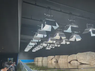 We enjoyed the lighting techniques used to effectively highlight animal behavior.