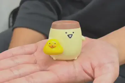 A bath-time rubber duck to help the winner unwind after long days of undergraduate thesis research.