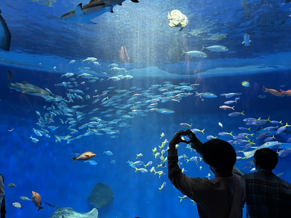生き物の多様性を学びました