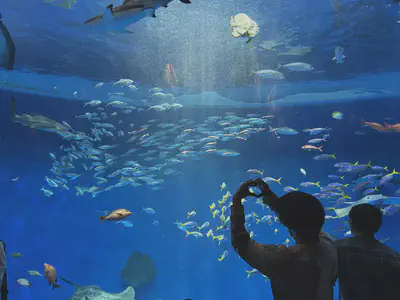 生き物の多様性を学びました