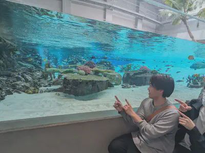 「生き物を探せ」ミッションをコンプリートしました