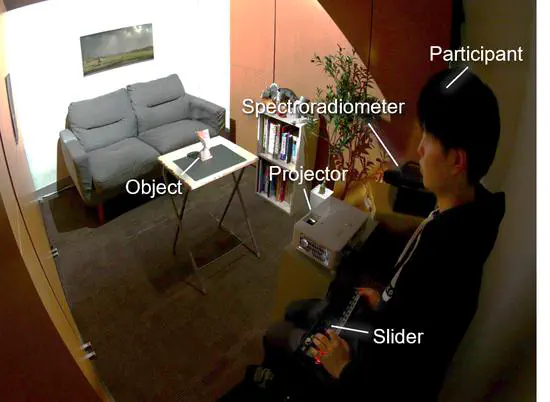 環境照明下におけるプロジェクションマッピングの投影テクスチャが色の見えに与える影響